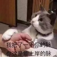 一建成績還不出？你想讓我禿嗎朋友？