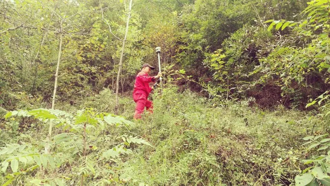 林區(qū)作業(yè)安全注意事項(xiàng)，測(cè)繪人的野外安全作業(yè)指南！